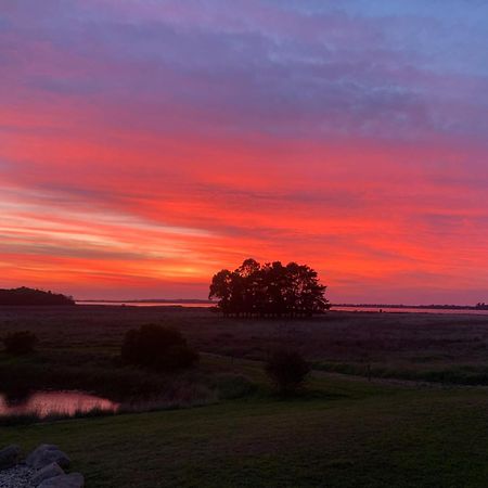 Pelican Point Sanctuary St Helens Buitenkant foto
