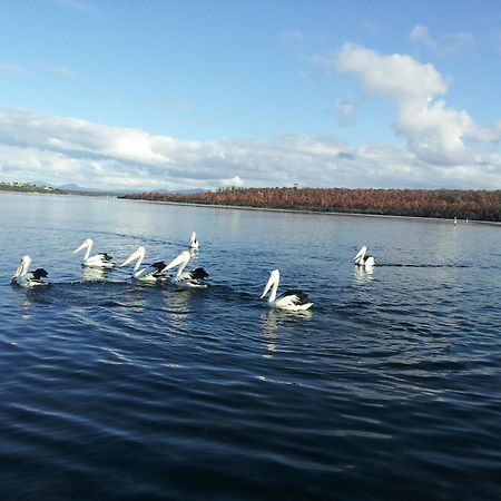 Pelican Point Sanctuary St Helens Buitenkant foto
