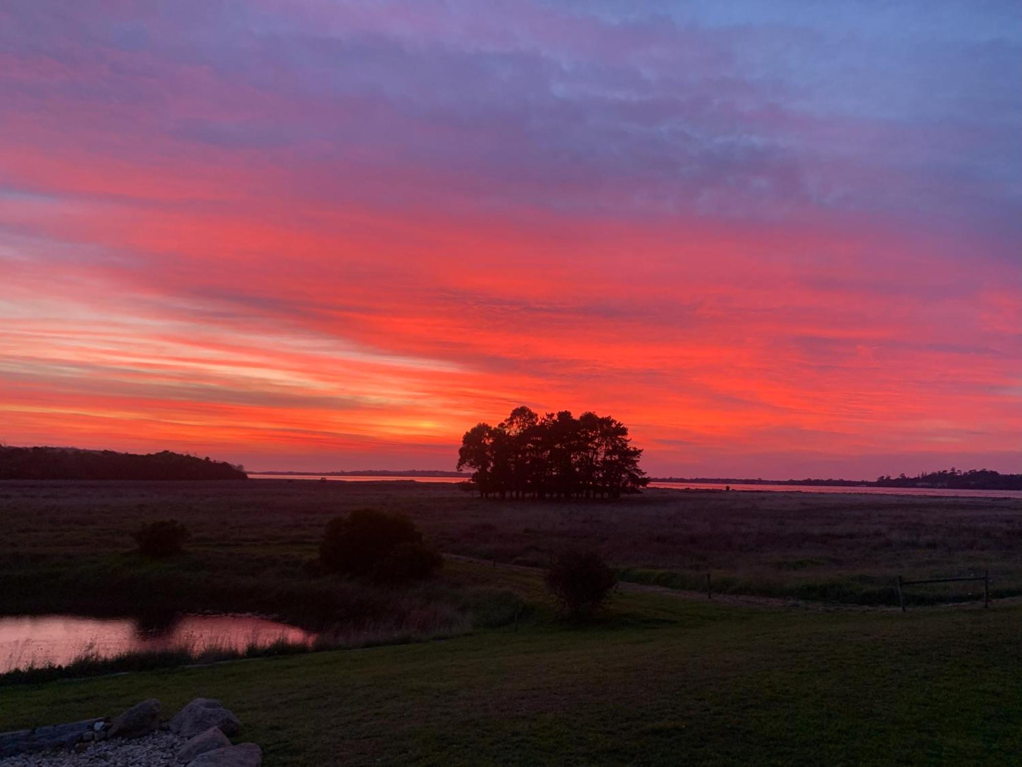 Pelican Point Sanctuary St Helens Buitenkant foto