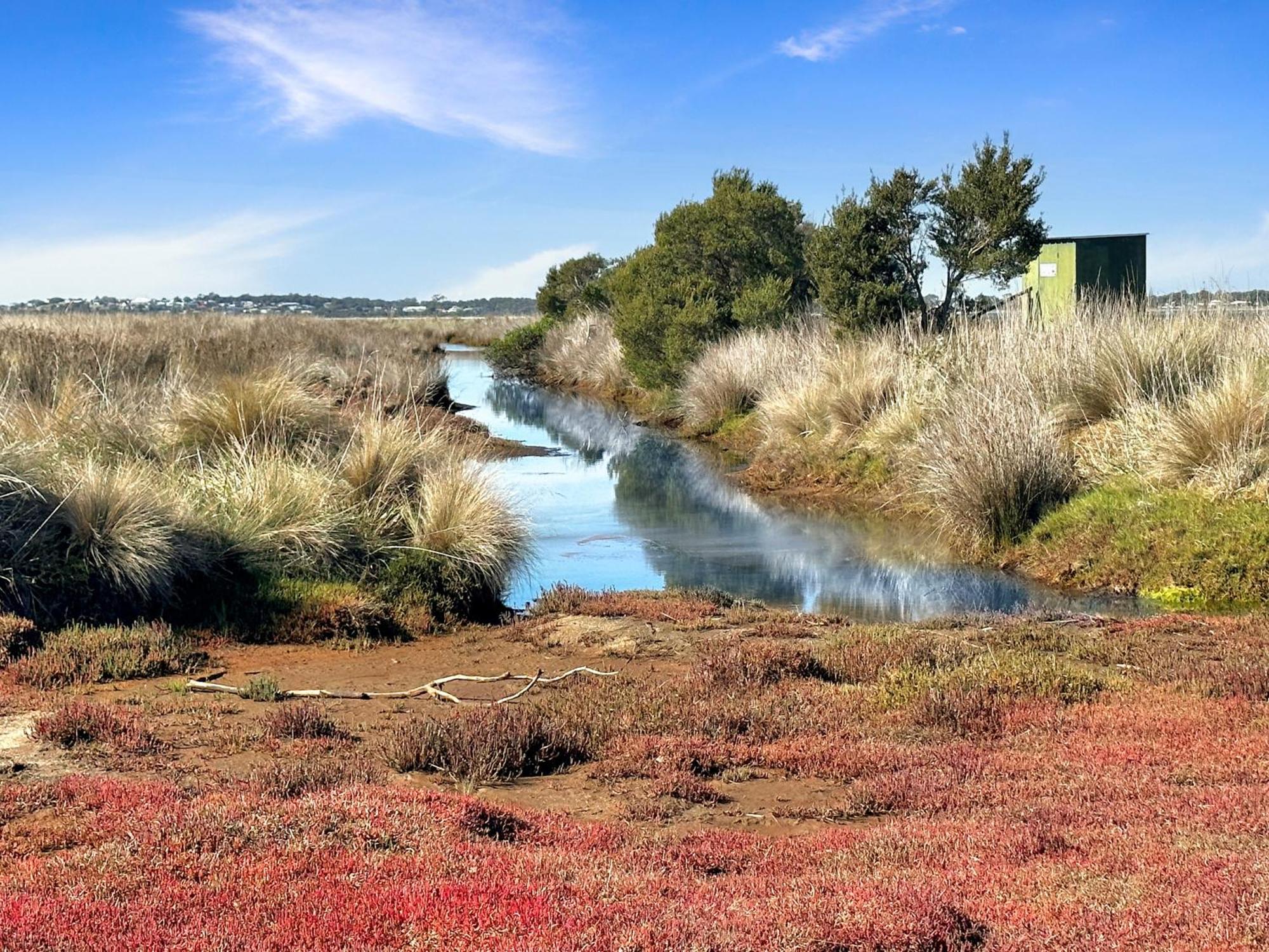 Pelican Point Sanctuary St Helens Buitenkant foto