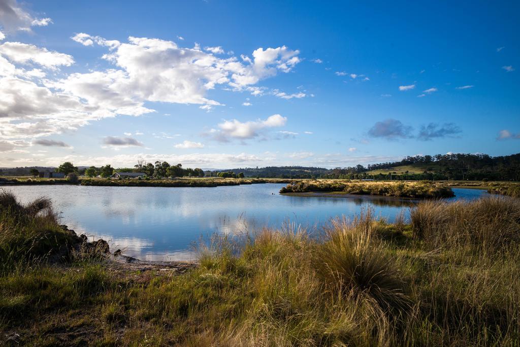 Pelican Point Sanctuary St Helens Buitenkant foto